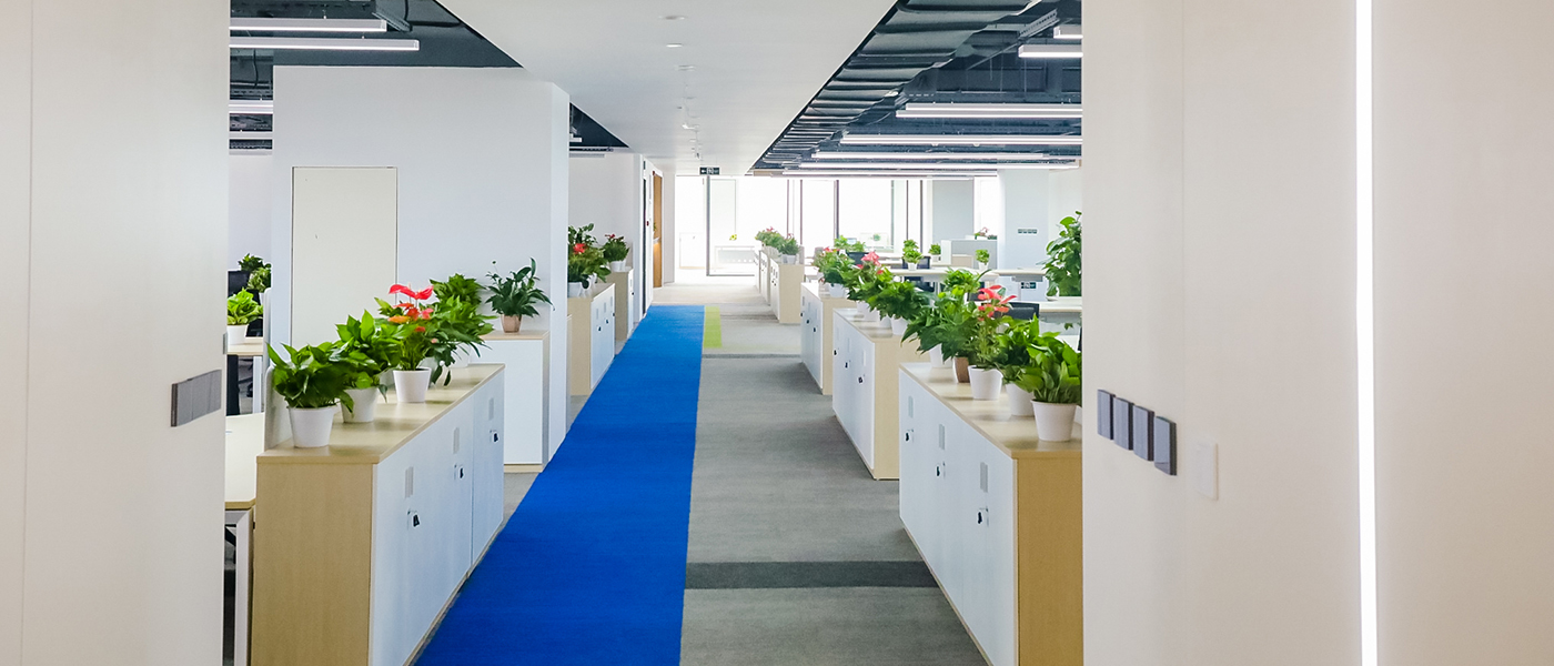 k8凯发(中国)天生赢家·一触即发